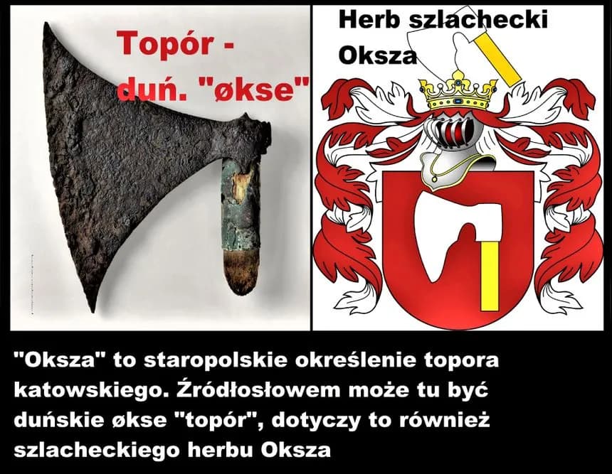 Jaki herb szlachecki ma Tusk? Odkryj tajemnice herbu Topór