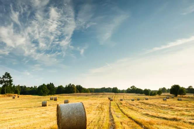 Co z ustawą o kształtowaniu ustroju rolnego? Kluczowe zmiany i skutki
